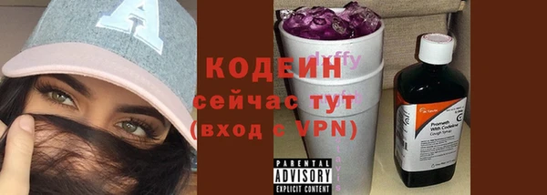хмурый Абаза