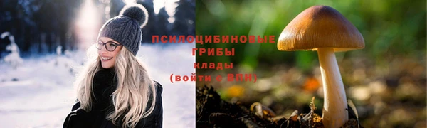 хмурый Абаза