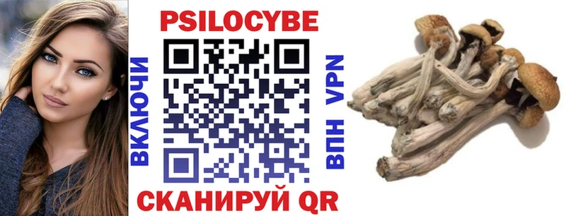 Псилоцибиновые грибы мухоморы  сколько стоит  mega ТОР  Зерноград 