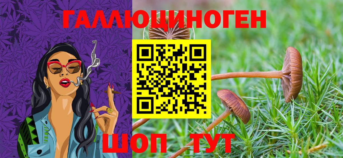 Псилоцибиновые грибы мухоморы  Псилоцибиновые грибы MAGIC MUSHROOMS  Вход с VPN  Зерноград 